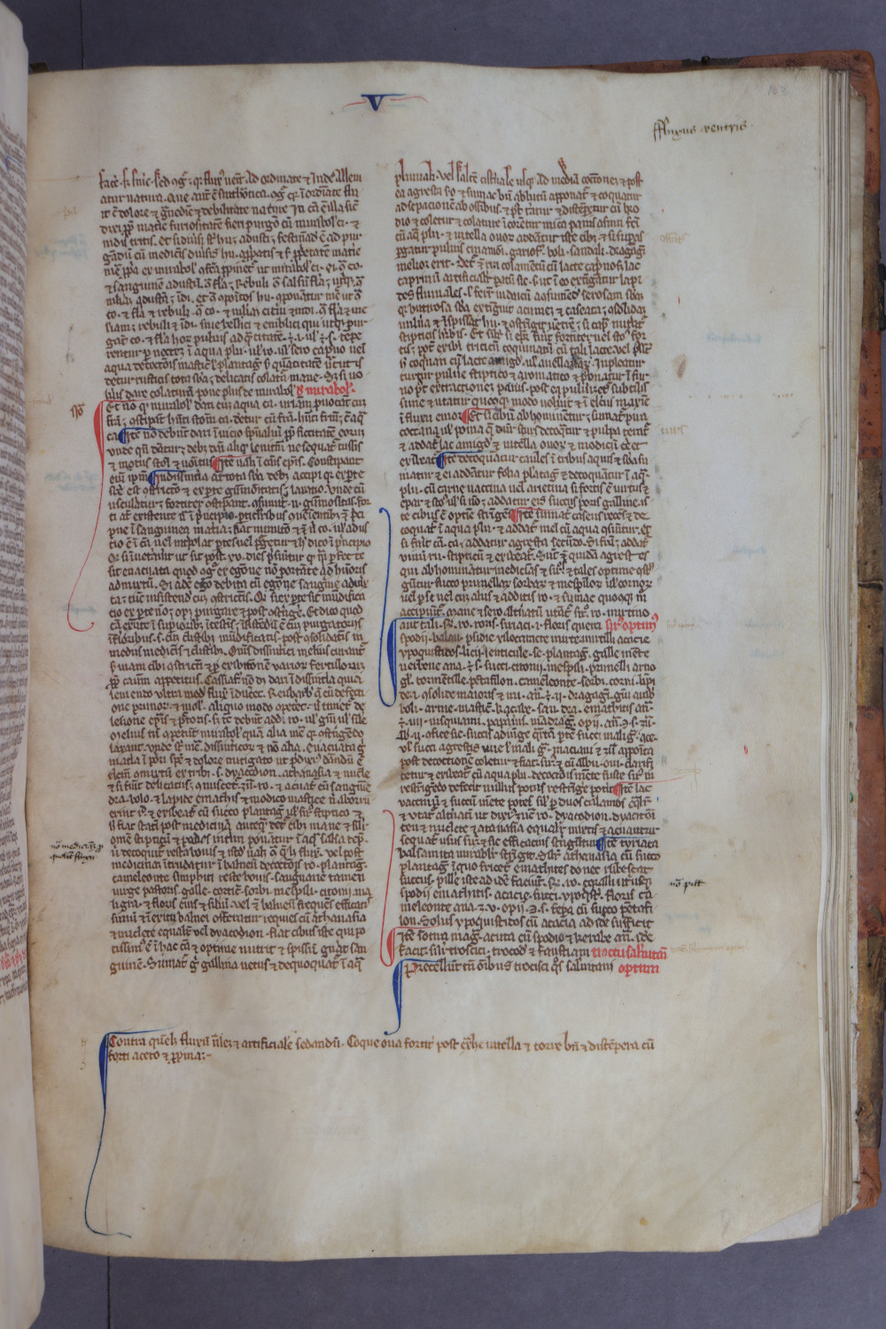 Folio 103 recto